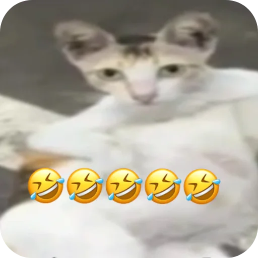 Telegram stiker 👍 @AniPackBot استیکرساز😍
