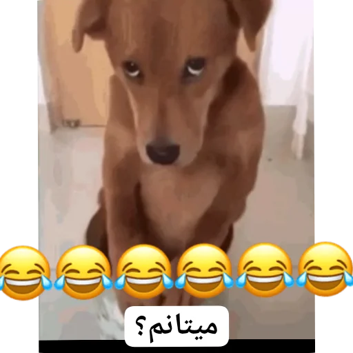 Telegram stiker 👍 @AniPackBot استیکرساز😍