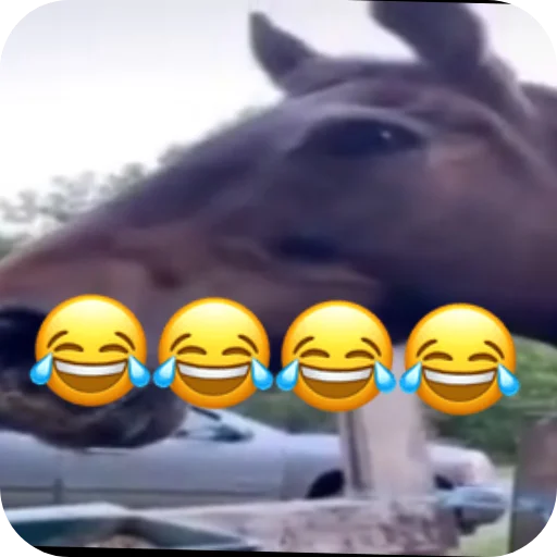 Telegram stiker 👍 @AniPackBot استیکرساز😍