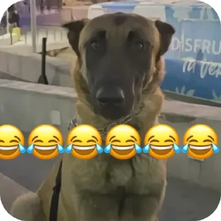 Video sticker 👍 @AniPackBot استیکرساز😍