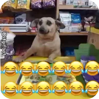 Video sticker 👍 @AniPackBot استیکرساز😍