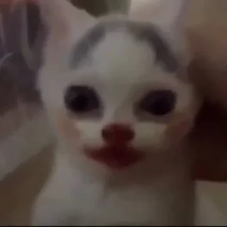 Телеграм стикер 🤡 عشوائيات)