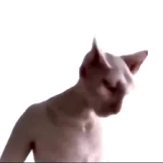 Video sticker 🤨 THE 艾斯OUND 😭💀🙏 | @NikkaGameS