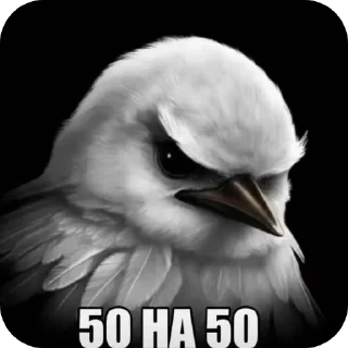 Video sticker 🐦 Птички1