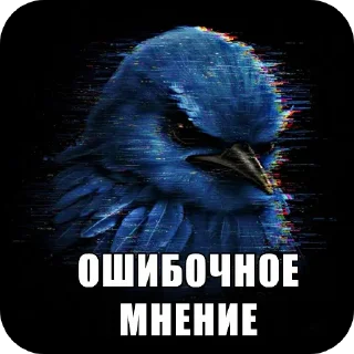 Video sticker 🖼 Птички1