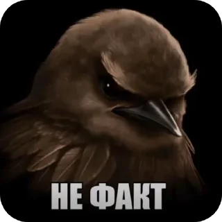 Telegram sticker 🐦 Птички1