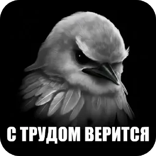 Telegram sticker 🐦 Птички1