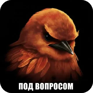 Video sticker 🐦 Птички1