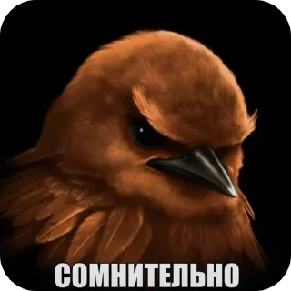 Sticker 🐦 Птички1