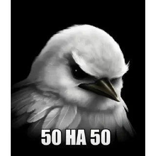 Telegram sticker 🫵 bird haha @wowziesy