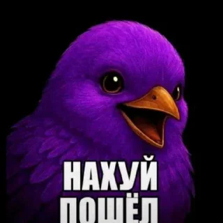 Телеграм стикер 😏 Птички лол от Dadhisk ➡️ @Ctikerubot