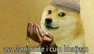 Video sticker 🌟 @shubh_you Cheems (Musalmon version) :: @fStikBot