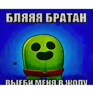 Video sticker 🌵 актуалочка