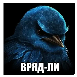 Telegram sticker 🐦 актуалочка