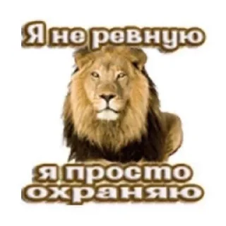 Telegram sticker 😎 Больше стиков тут: @stikery4