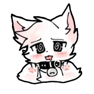 Video sticker 😍 Котики