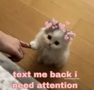 Telegram sticker 🖤 ㅤㅤㅤॐ •𐒾𝕣𝖎Ś̸̷͙̺̥̰̯͙̭͆̏͂ꫝ•🪬ㅤㅤㅤㅤㅤㅤㅤㅤㅤㅤㅤㅤ's sticker pack (@Marin_Ro