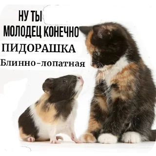 Телеграм стикер 🐶 Denis SS  II ⚡⚡