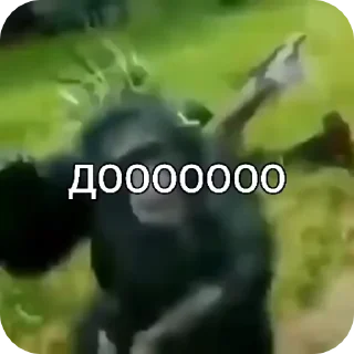 Video sticker 🌟 Больше стиков тут: @stikery4