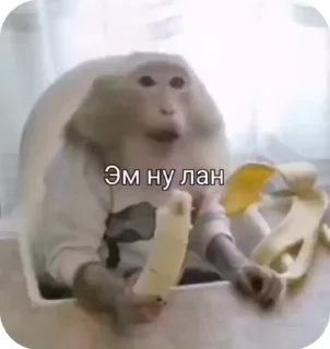 Video sticker 🌟 Больше стиков тут: @stikery4