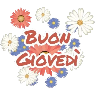 Video sticker 😁 buongiorno