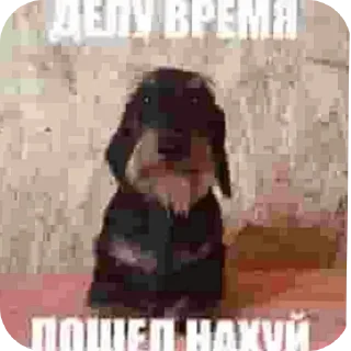 Telegram sticker 🧸 Маи стикеры