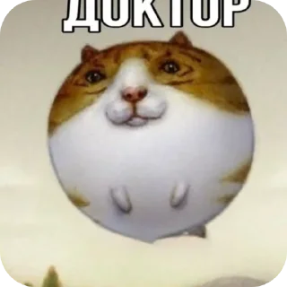 Telegram sticker 👍 Маи стикеры