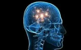 Video sticker 😐 Big Brain By @ess_ehsan