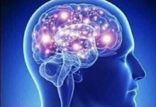 Video sticker 😐 Big Brain By @ess_ehsan