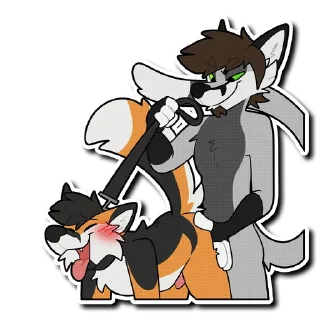 Video sticker 💦 Jay