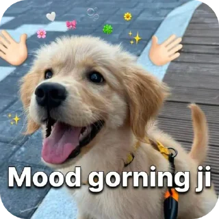Telegram sticker 🐶 Flashuuu... @flashu65