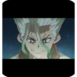 Video sticker 👍 Dr.stone)
