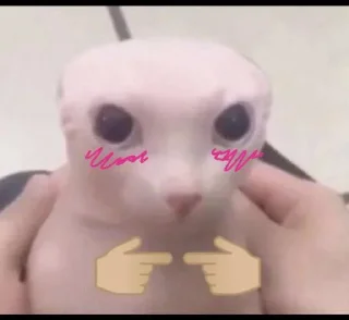 Video sticker 💋 . @imgoingtodeath .