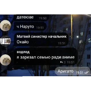 Video sticker 👍 Чат кобяка хуйня