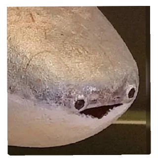 Telegram sticker ⛑ Подкрадули