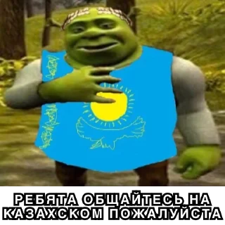 Video sticker 🇰🇿 Казахстан @stickernayaa