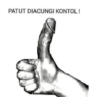 Video sticker ✋ parman • @sticbot