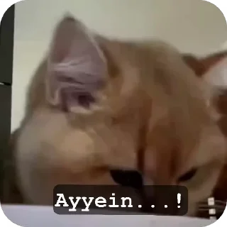 Video sticker 😱 GHOST'S SET