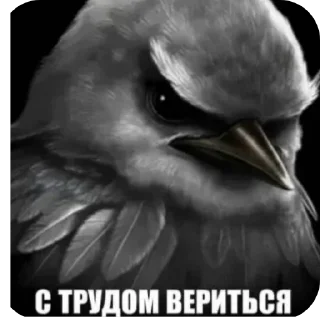 Telegram sticker 🐦 Вряд ли
