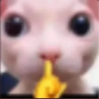 Telegram sticker 😯 gavchyk