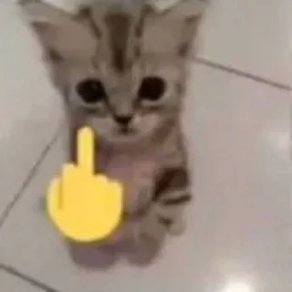 Telegram sticker 😠 gavchyk