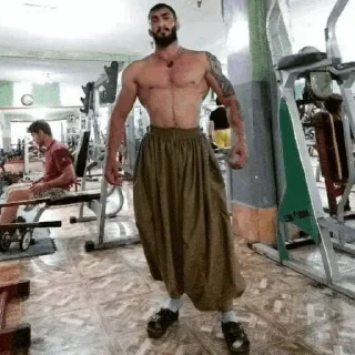 Телеграм стикер 🦈 بهزاد کورده،یه کوسه تو دنیای ماهی ها..🦈