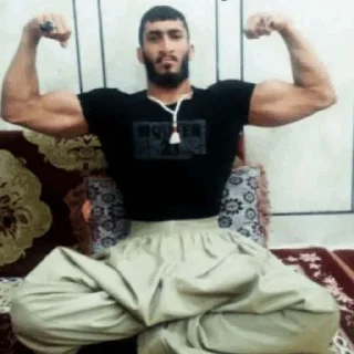 Телеграм стикер 🦈 بهزاد کورده،یه کوسه تو دنیای ماهی ها..🦈