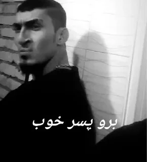 Телеграм стикер 😒 بهزاد کورده،یه کوسه تو دنیای ماهی ها..🦈