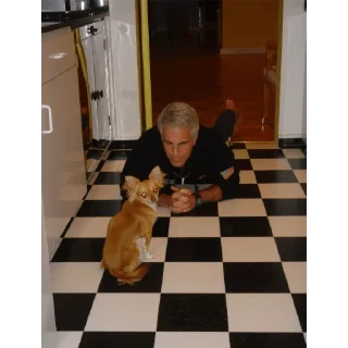 Video sticker 🧒 Epstein