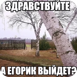 Telegram stiker 🖼 ЛЕСНОЕ