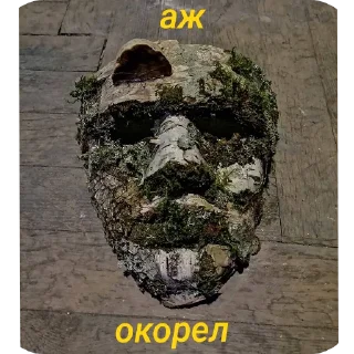 Telegram stiker ⛑ ЛЕСНОЕ