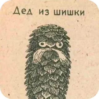 Video sticker 🐦 ЛЕСНОЕ