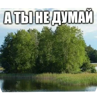 Telegram stiker 🏞 ЛЕСНОЕ