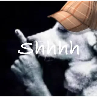 Video sticker 🤫 BATMAN STICKERs